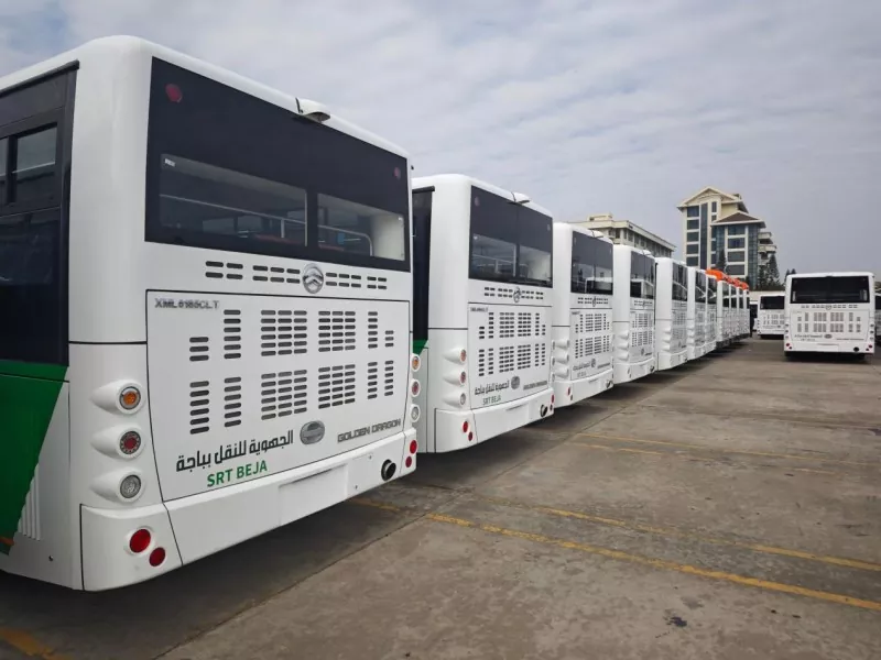 Golden Dragon Buses